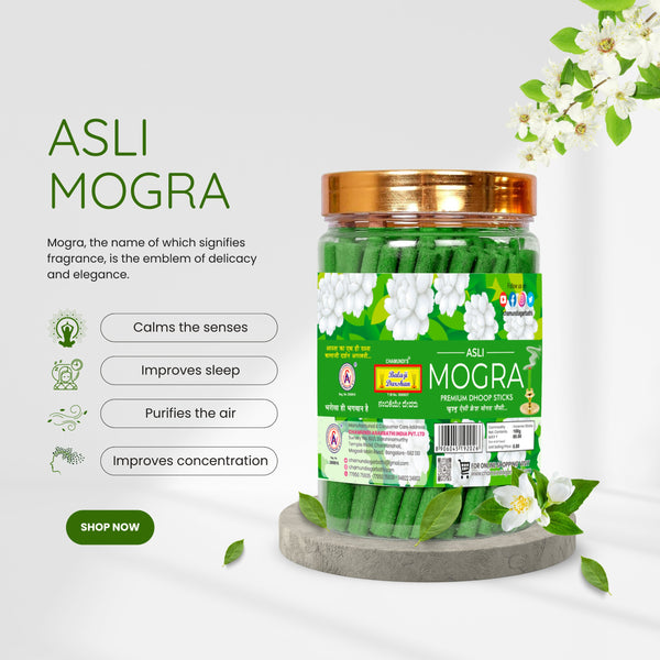 Balaji Darshan - Asli Mogra Colour Cones