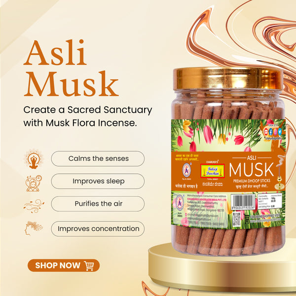 Balaji Darshan - Asli Musk Colour Cones